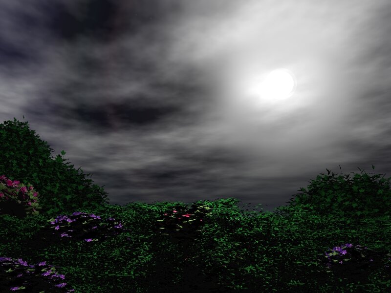 Moonlit Garden at Night — Green