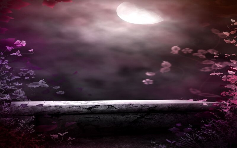 moonlit garden bench