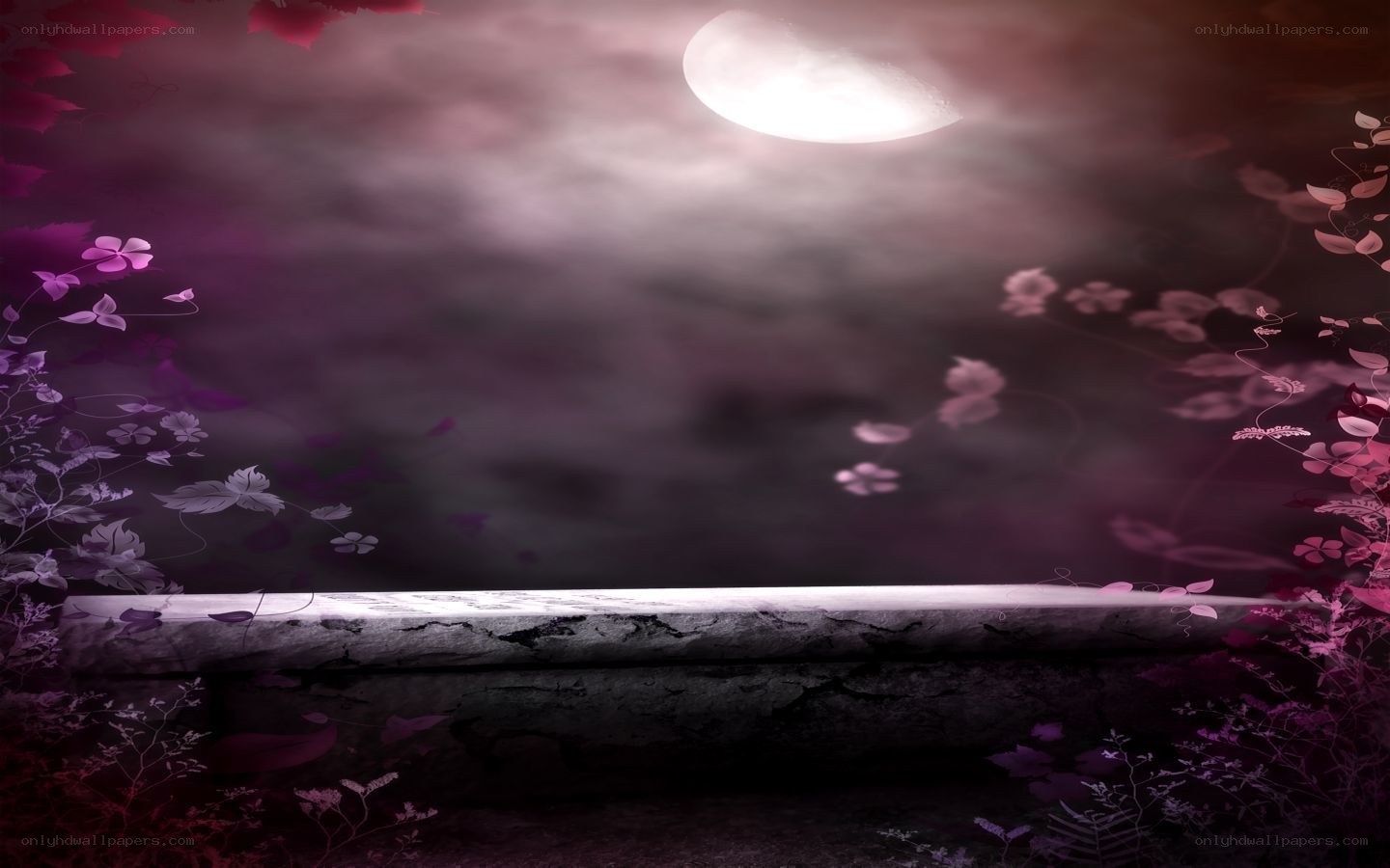 moonlit garden bench