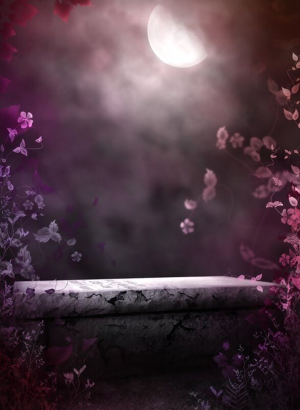 moonlit garden bench