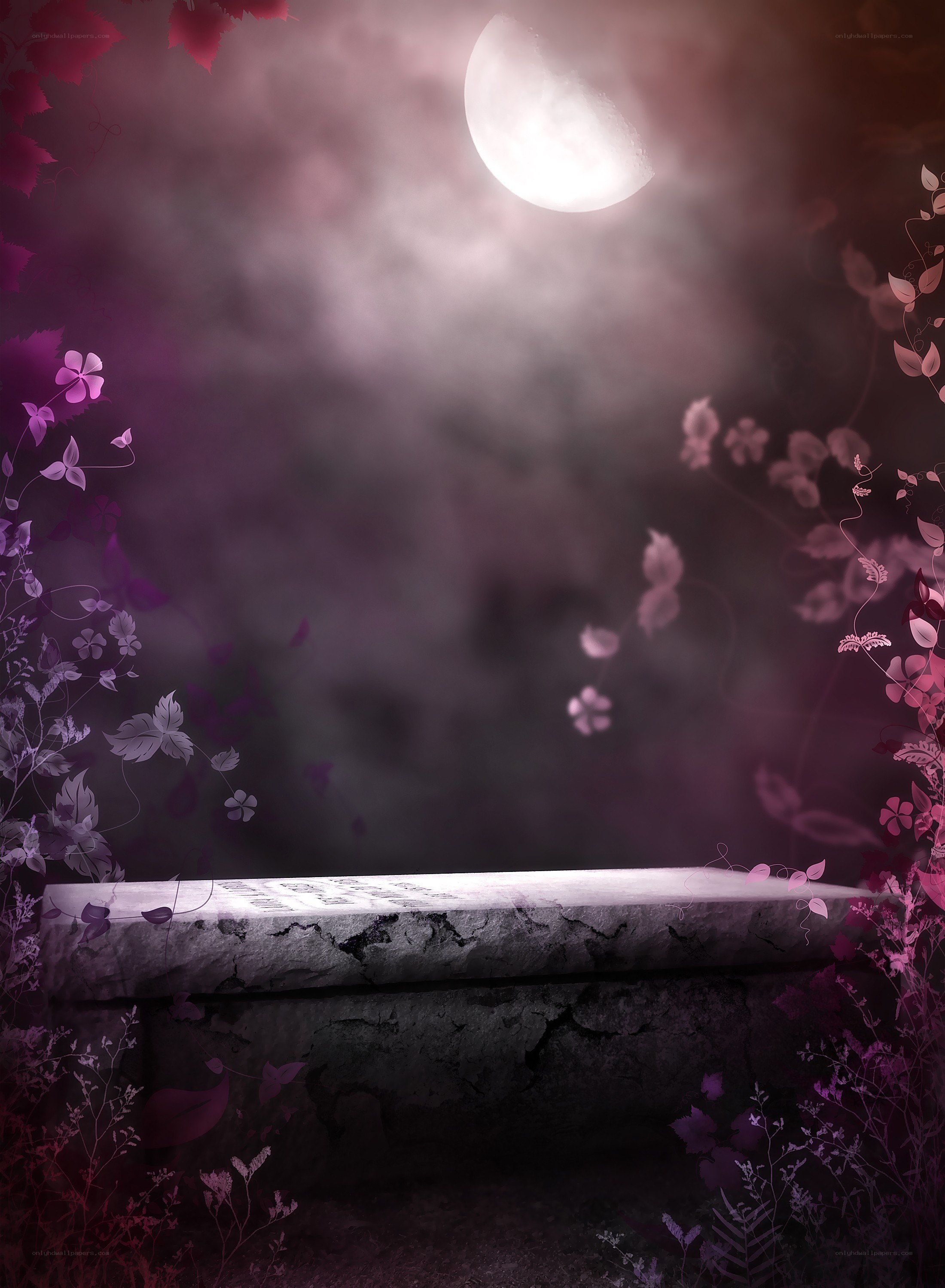 moonlit garden bench