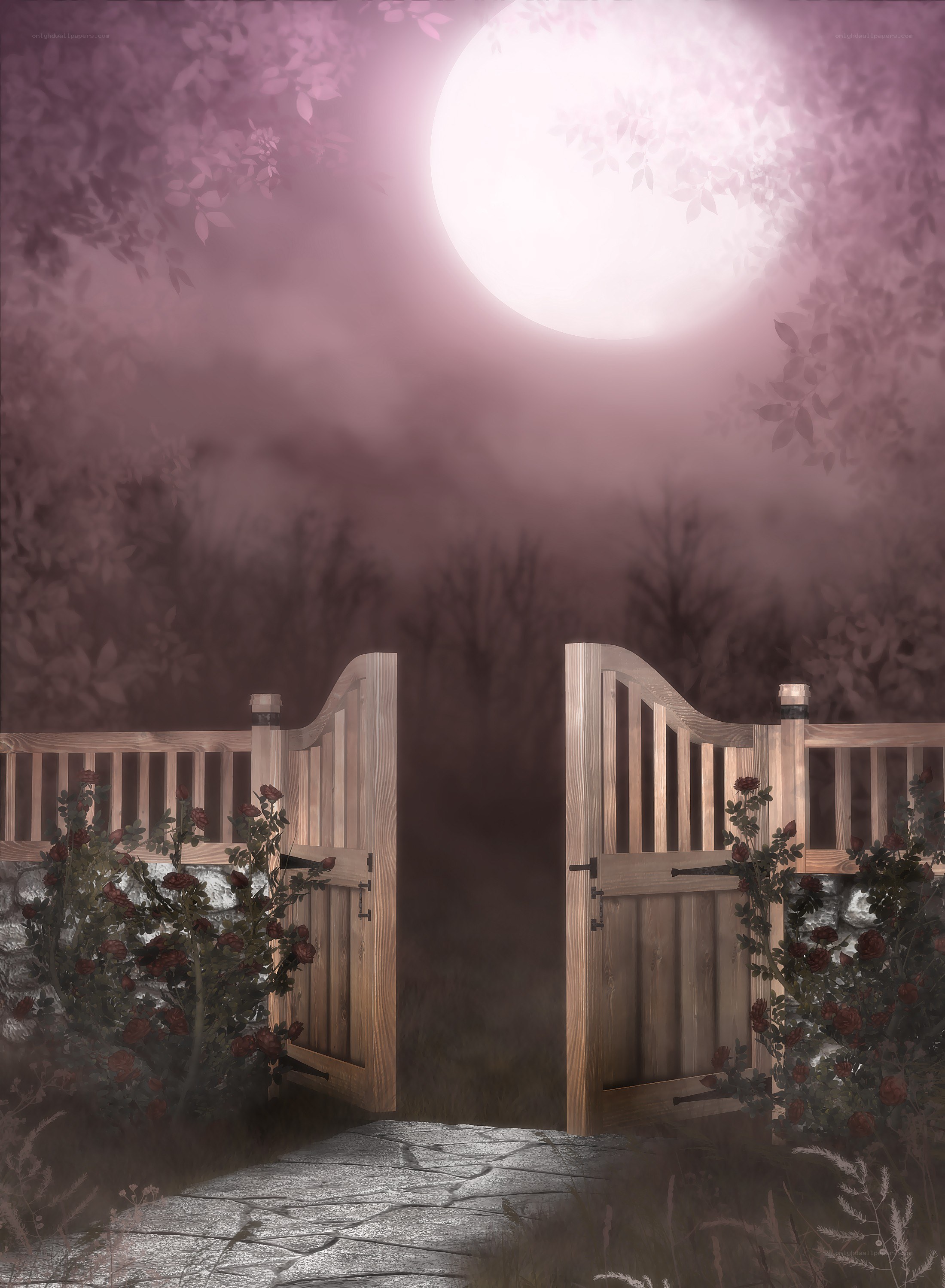 Moonlit garden gate