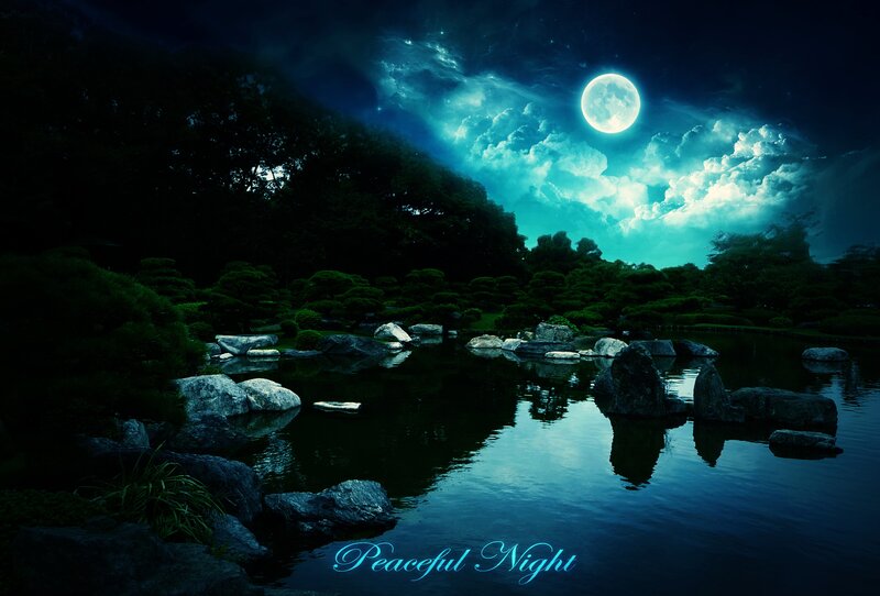 Moonlit Garden Pond — Blue