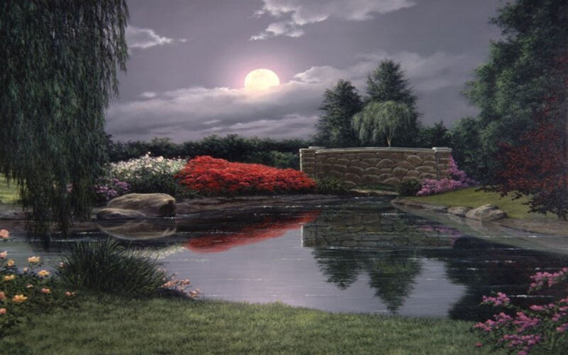 Moonlit Garden Pond