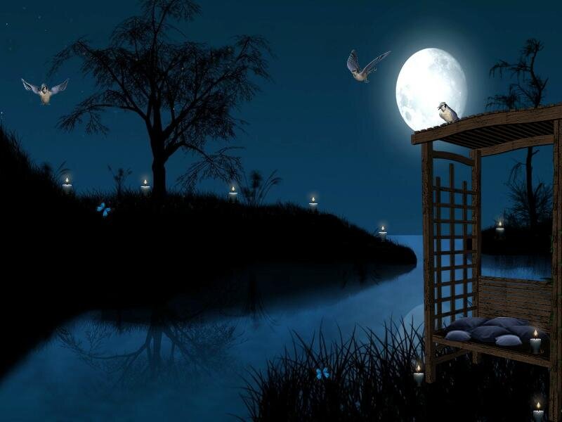 Moonlit Garden Scene