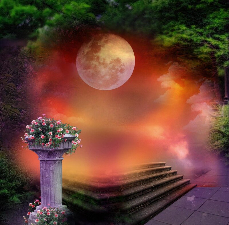 Moonlit Garden Steps