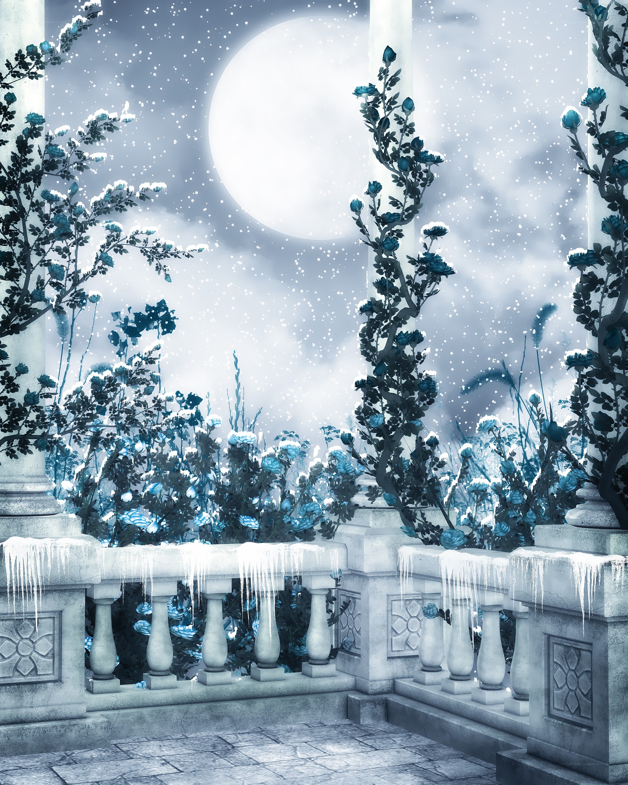 Moonlit garden with snow