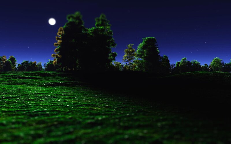Moonlit Grassy Hill