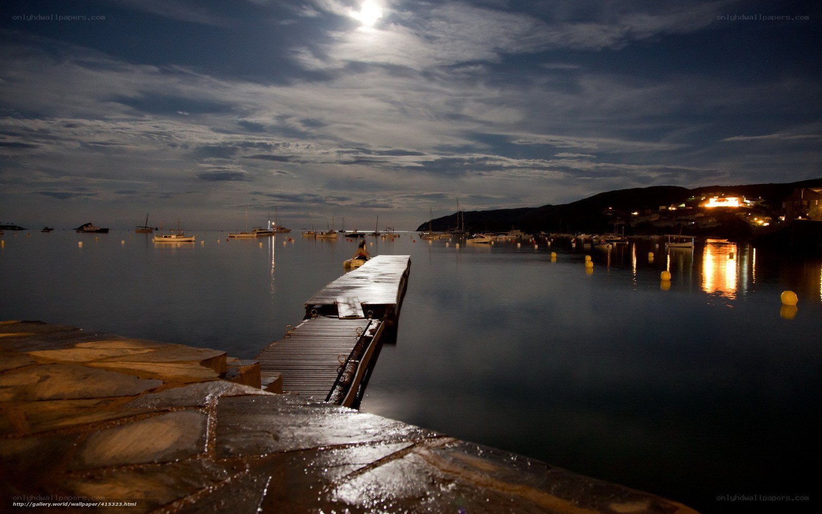 Moonlit harbor at night
