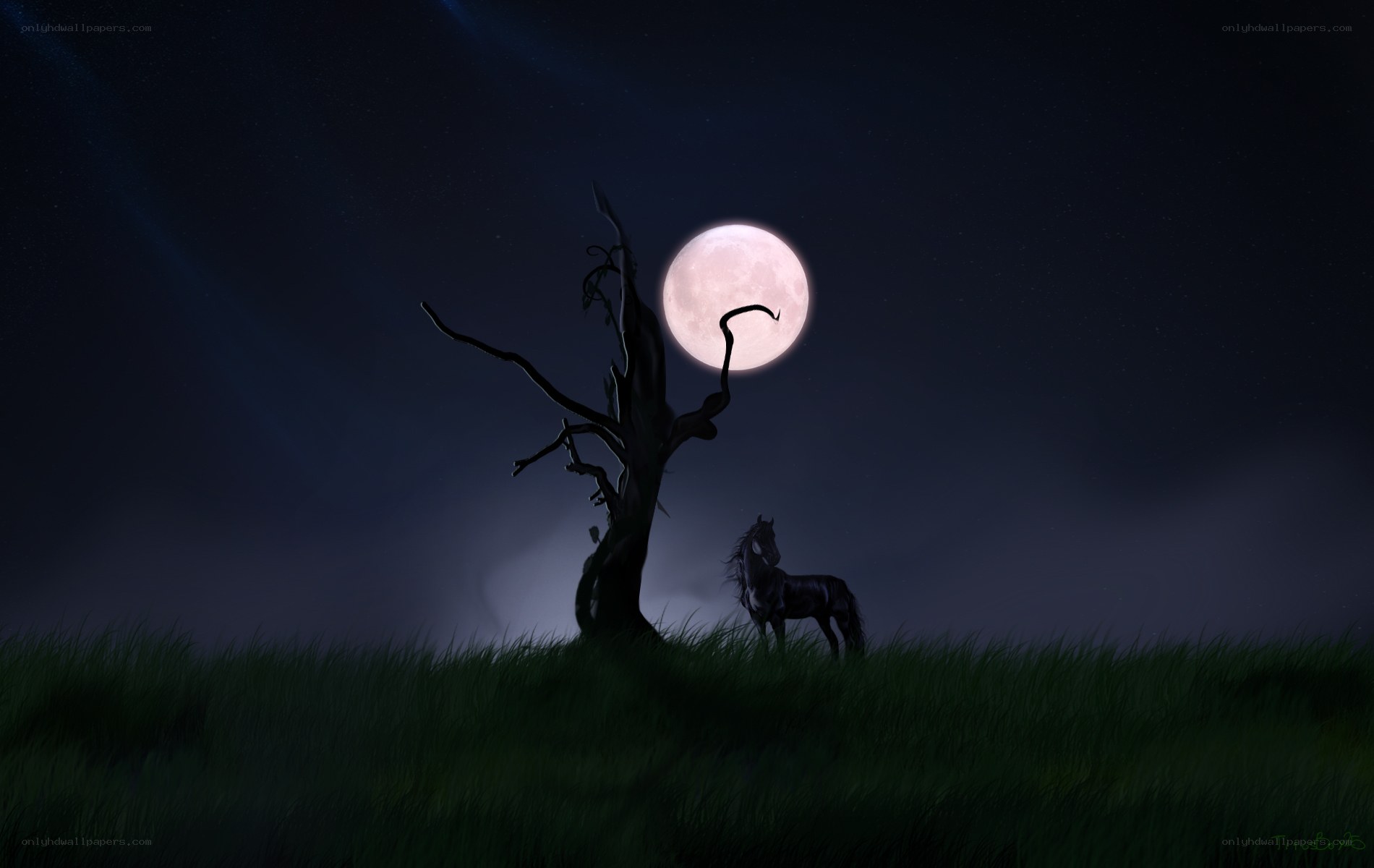 Moonlit horse and tree