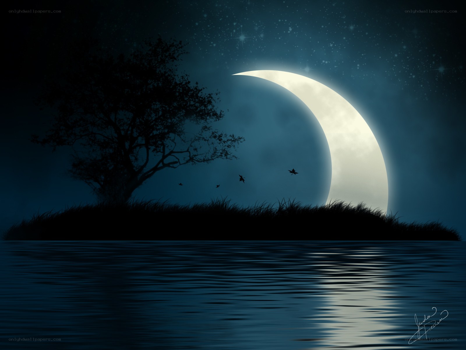 Moonlit island at night