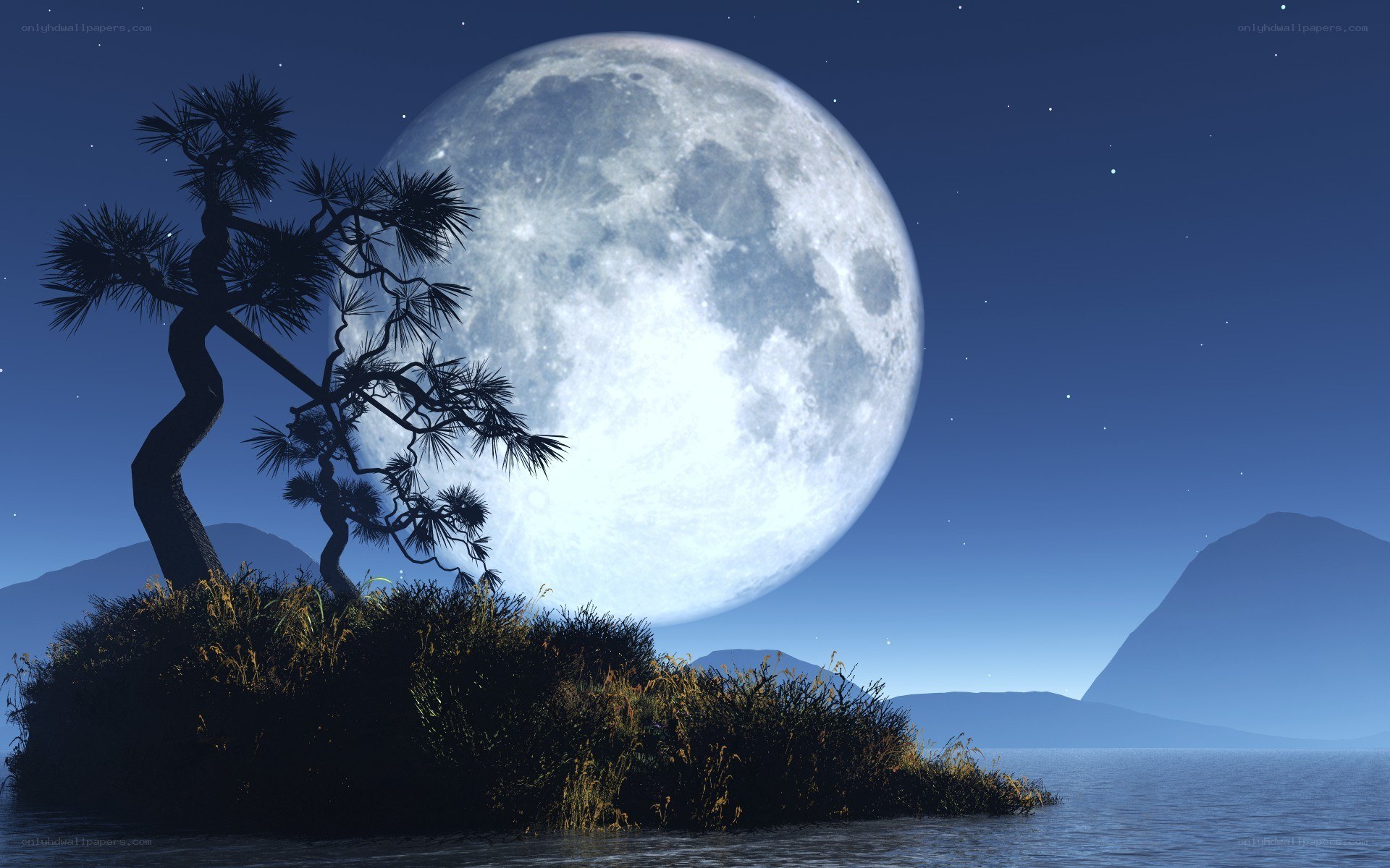 Moonlit island at night