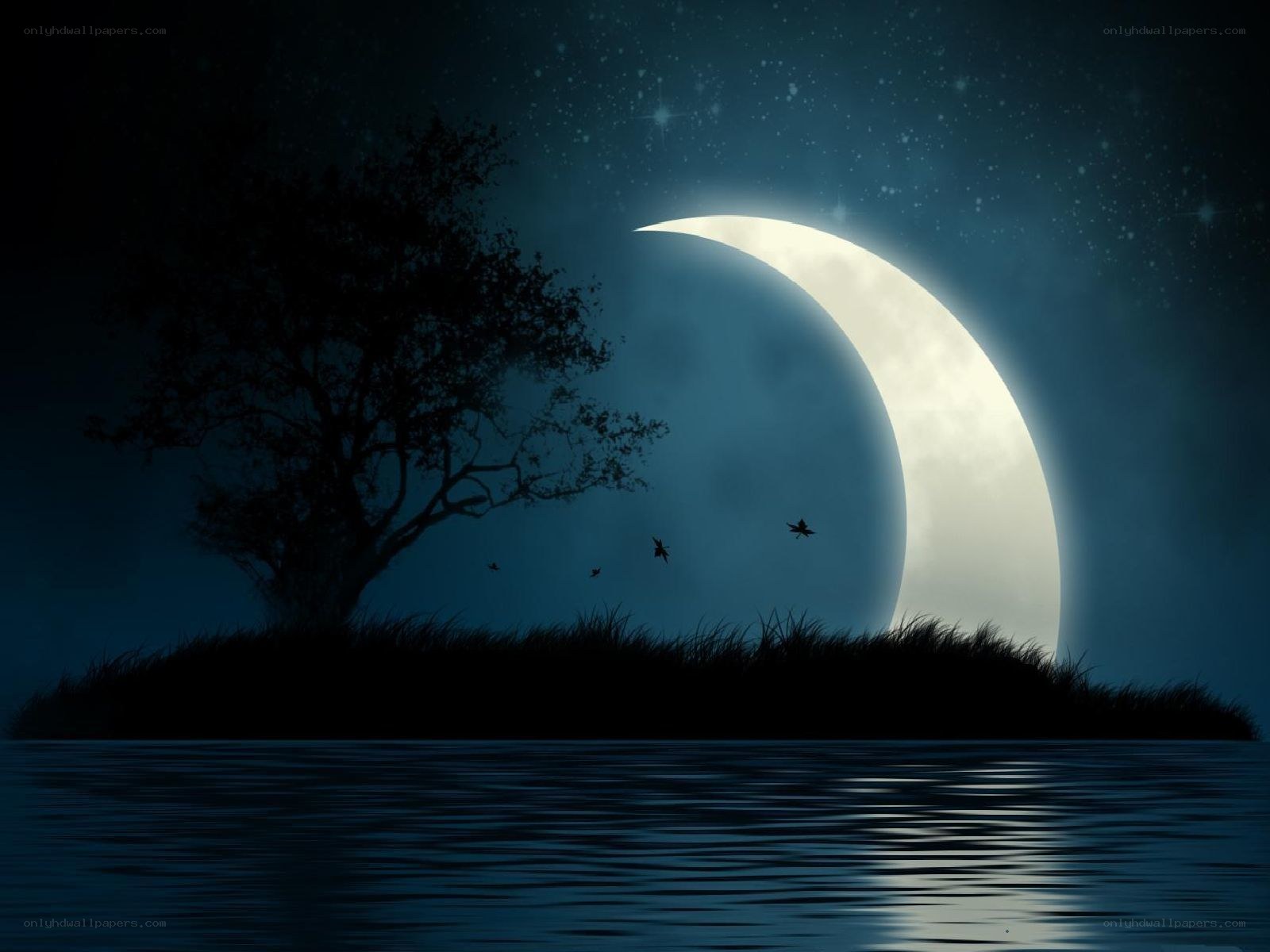 Moonlit island at night