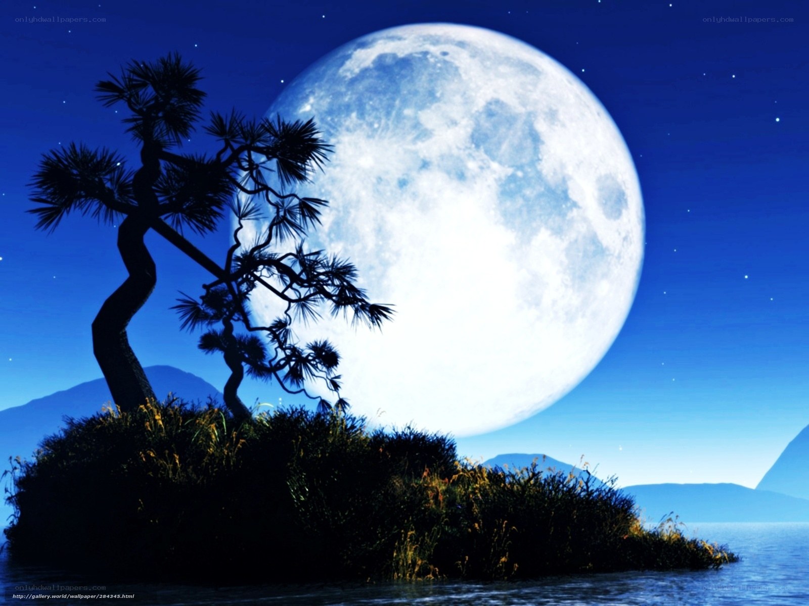 Moonlit island at night