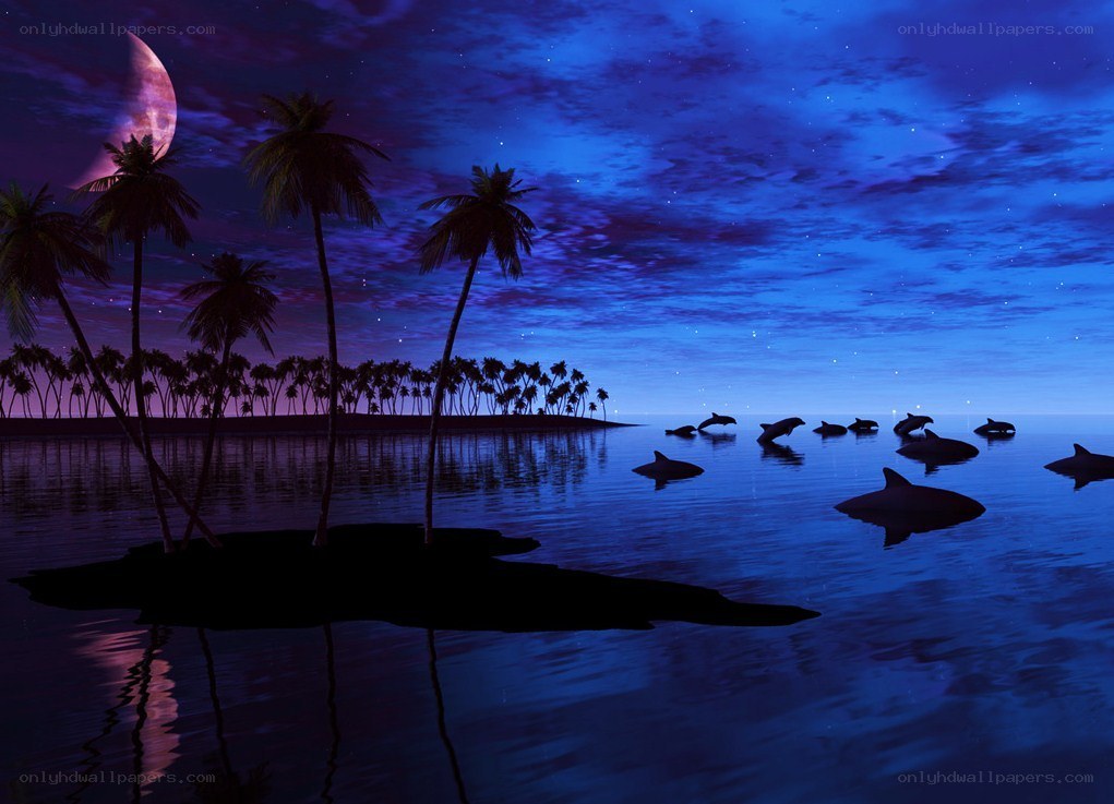 Moonlit island with dolphins