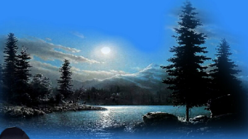 Moonlit Lake and Trees