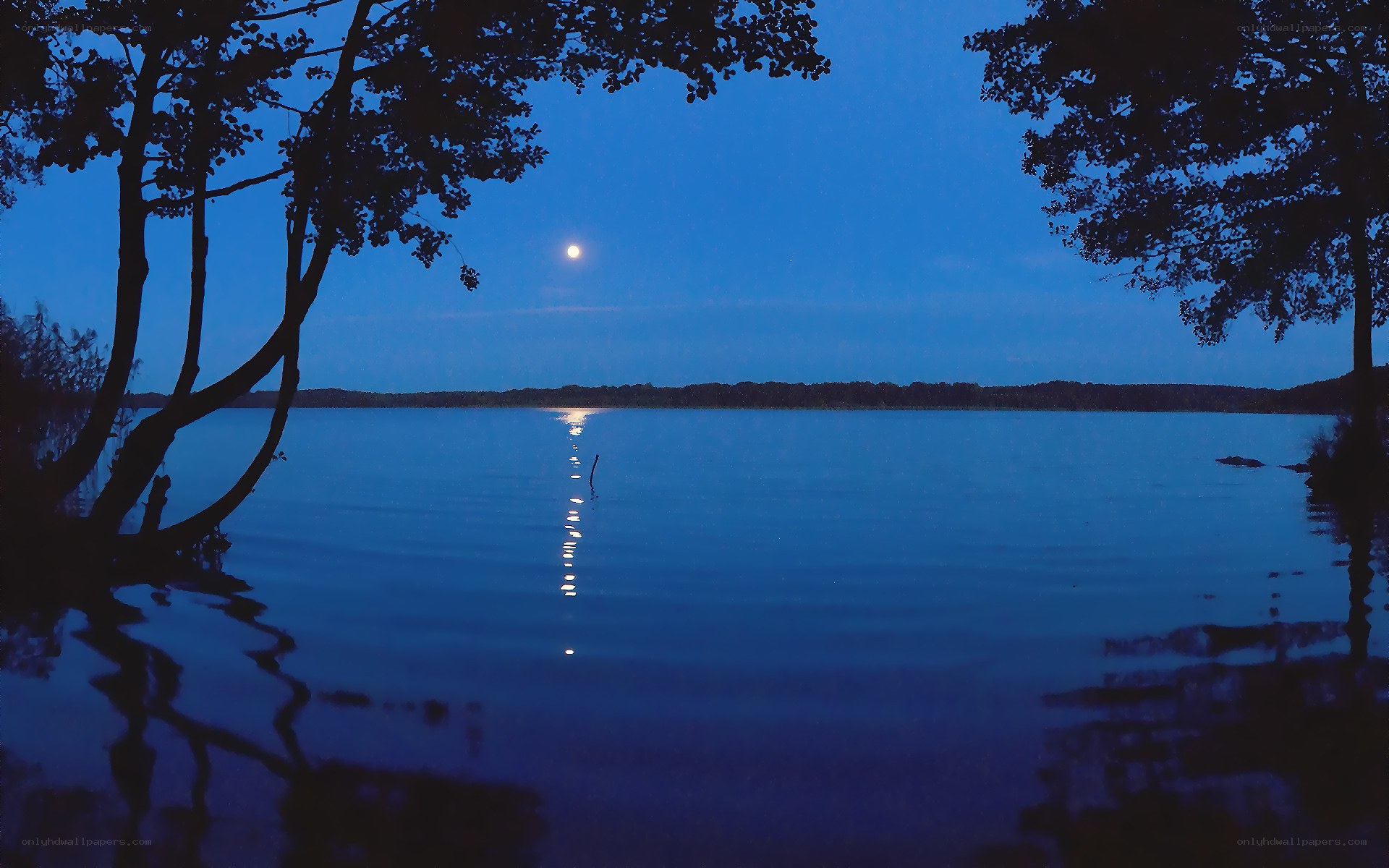 Moonlit lake at dusk