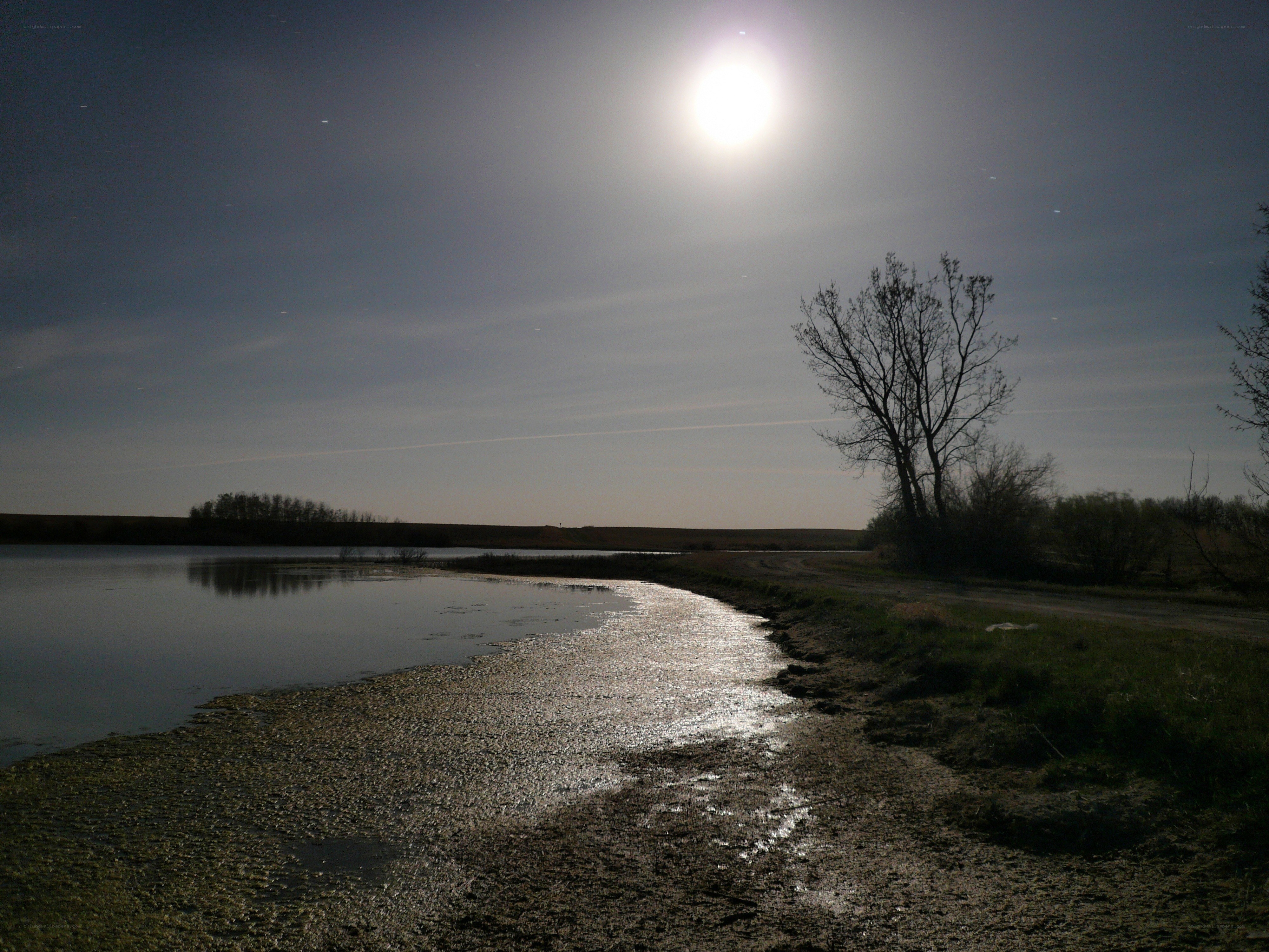 Moonlit lake at dusk