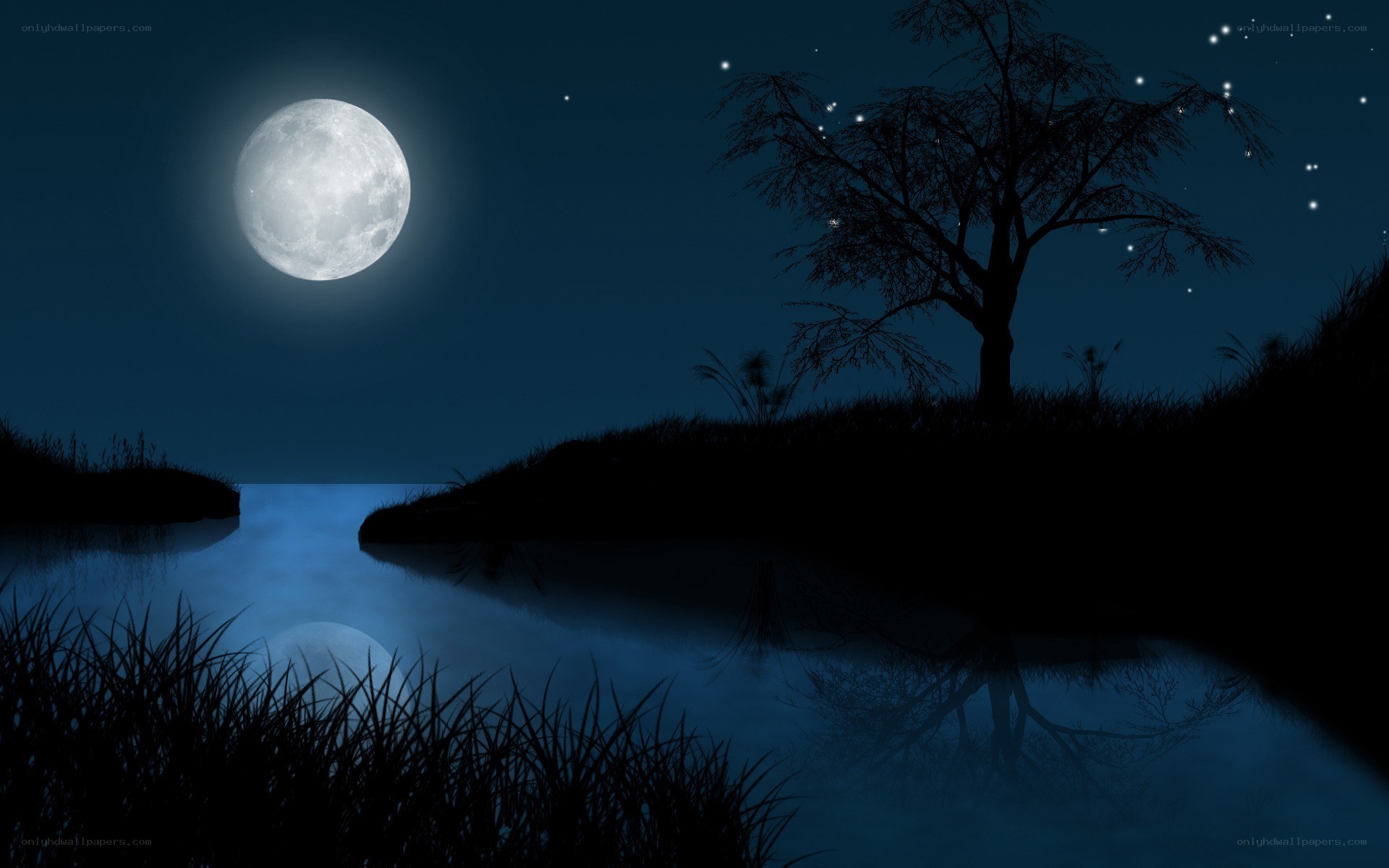 Moonlit lake at night