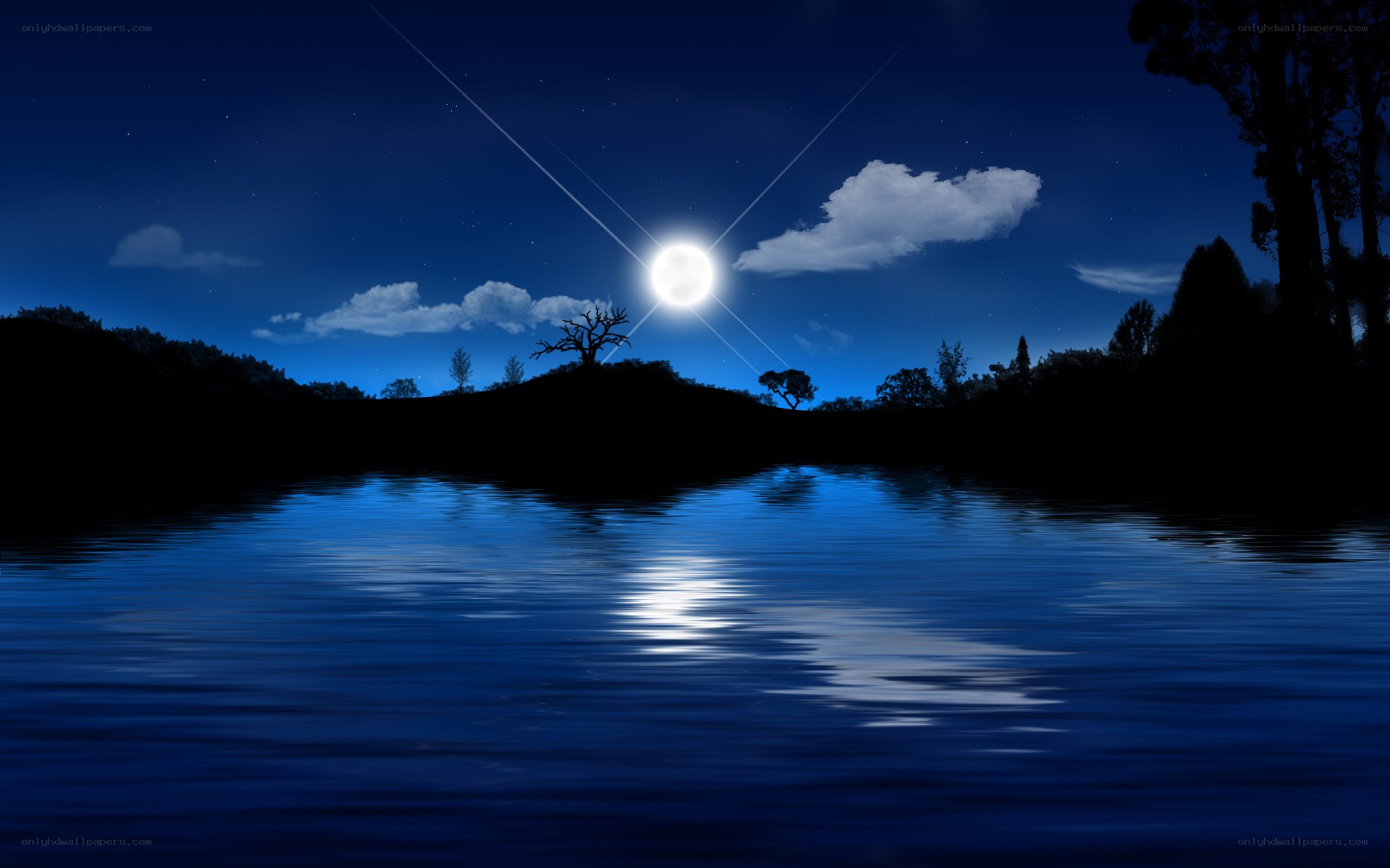 Moonlit lake at night