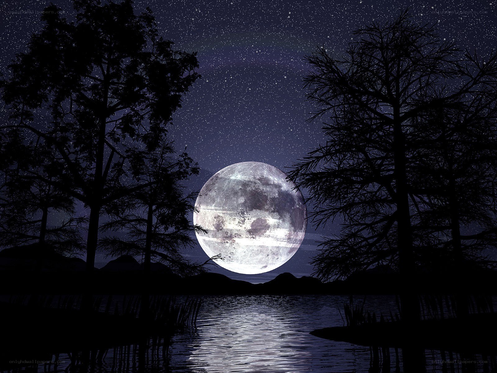 Moonlit lake at night