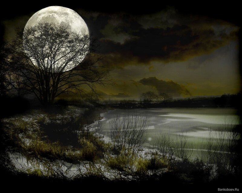 Moonlit lake at night