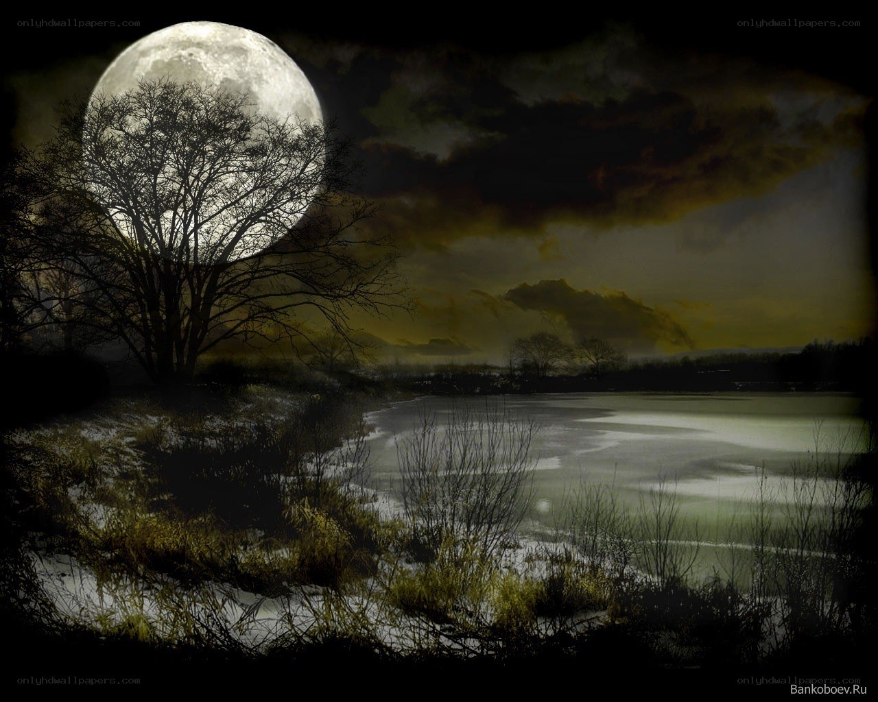 Moonlit lake at night