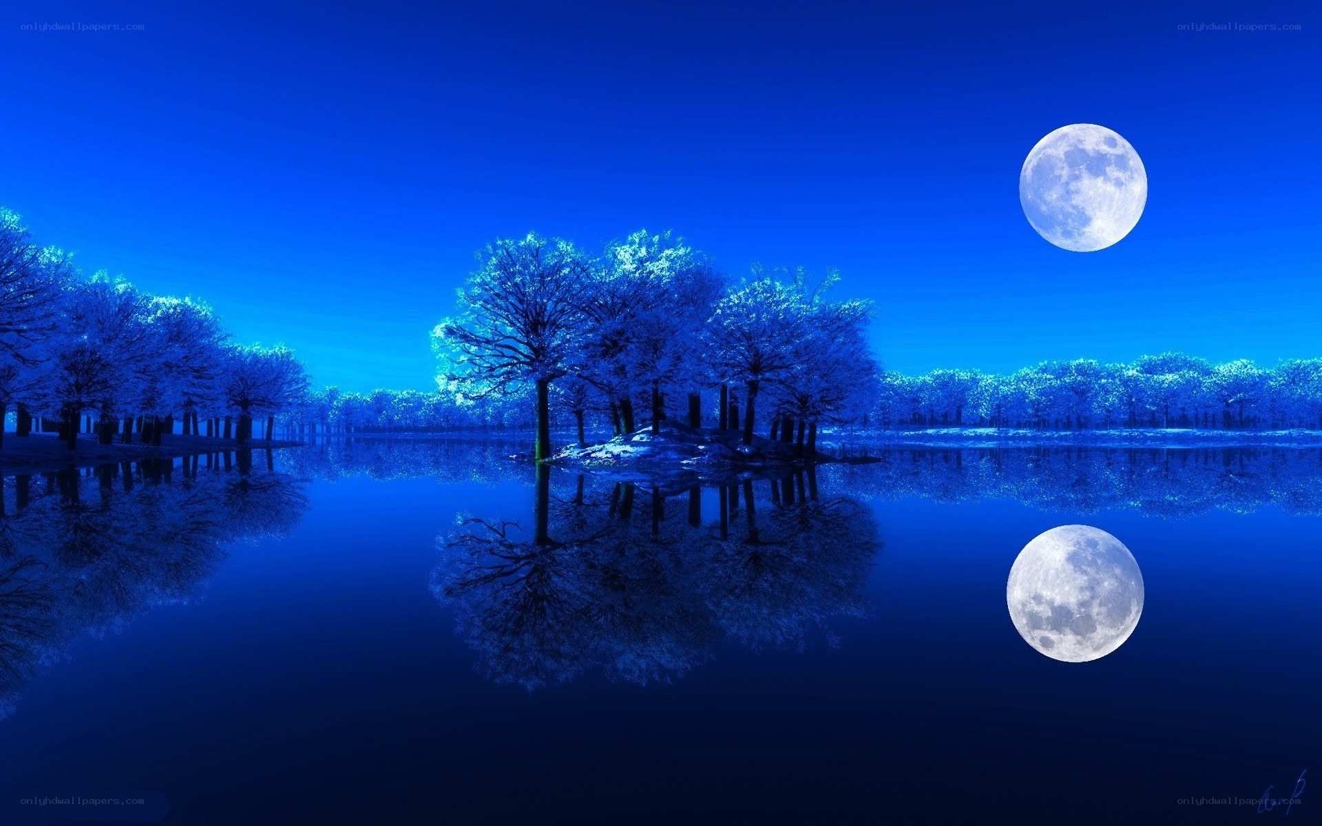 Moonlit lake at night