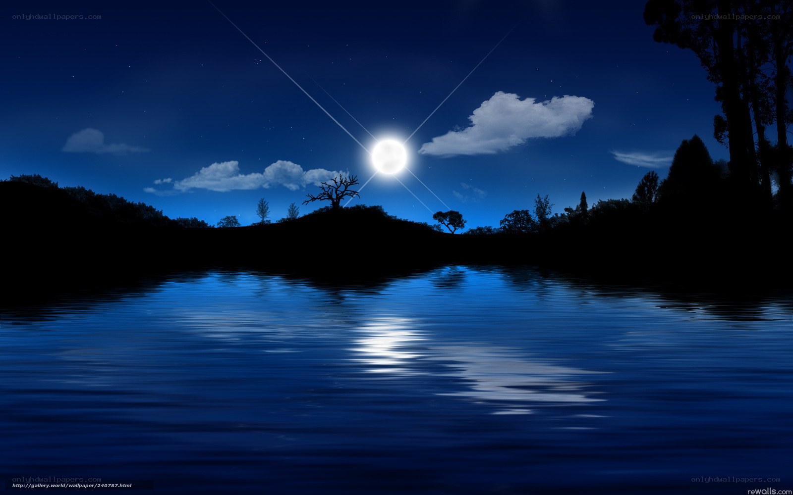 Moonlit lake at night