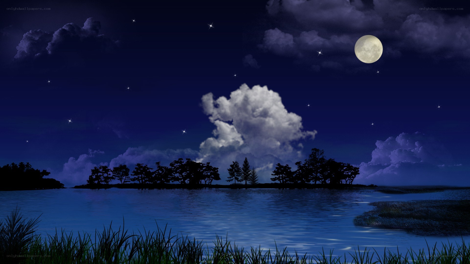 Moonlit lake at night