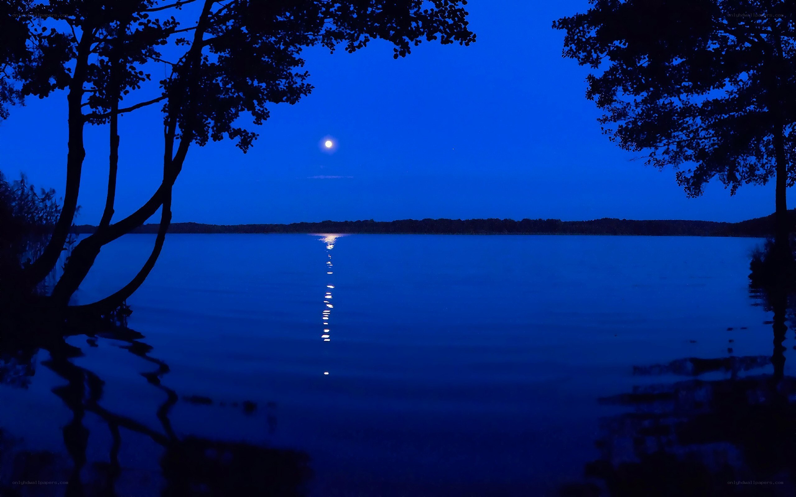 Moonlit lake at night