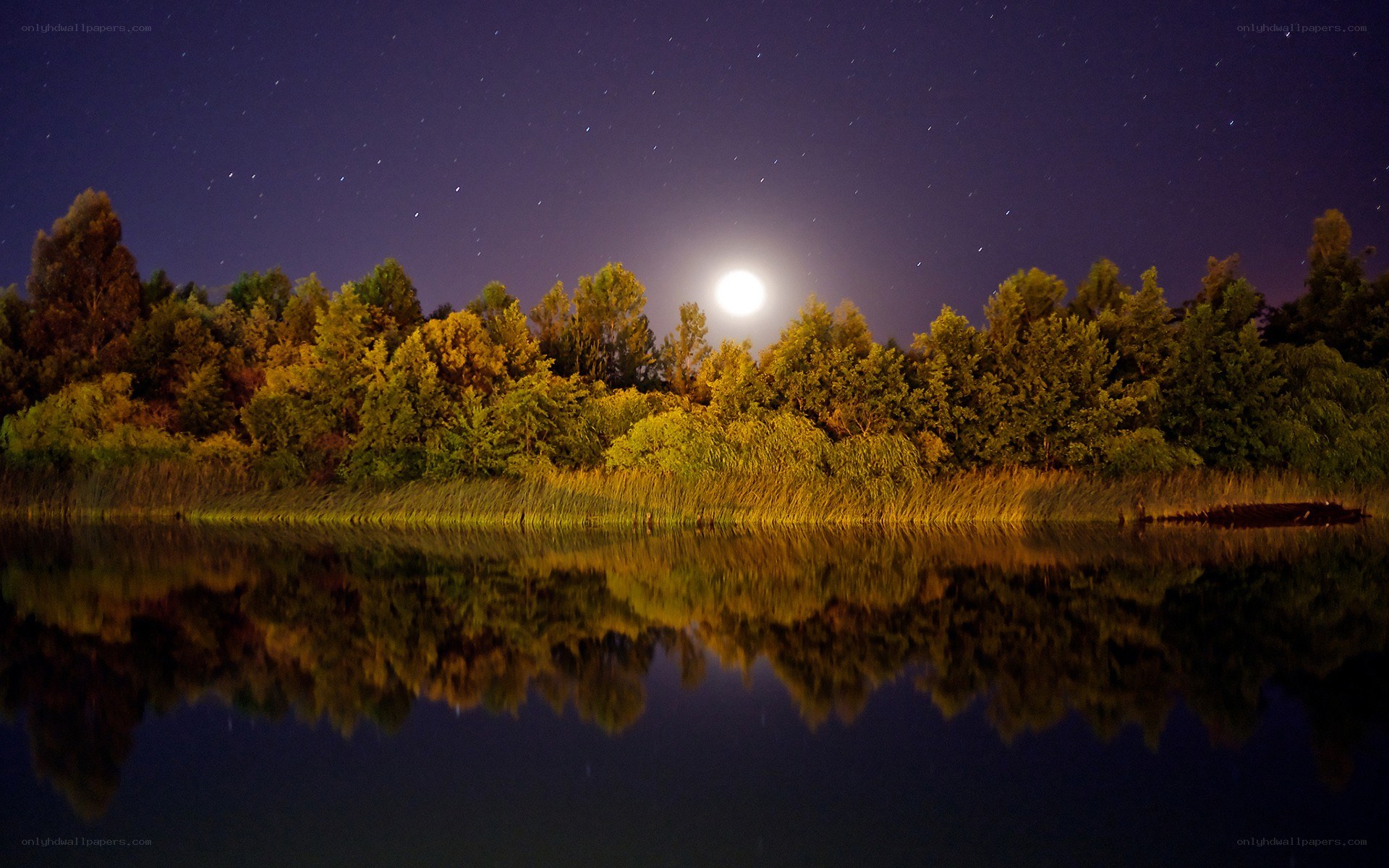 Moonlit lake at night