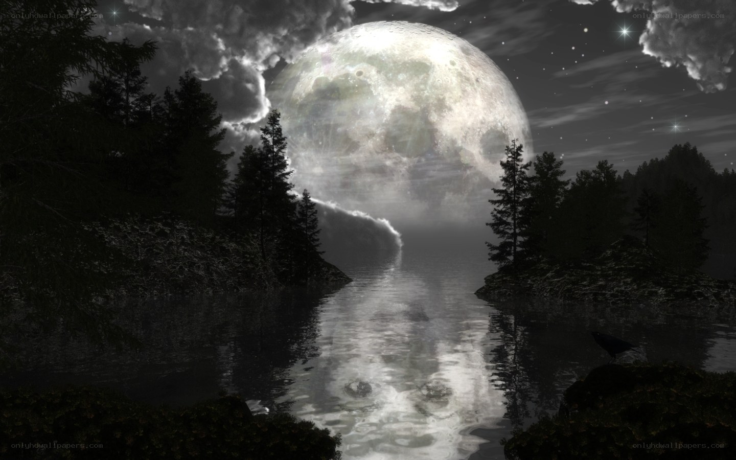 Moonlit lake at night