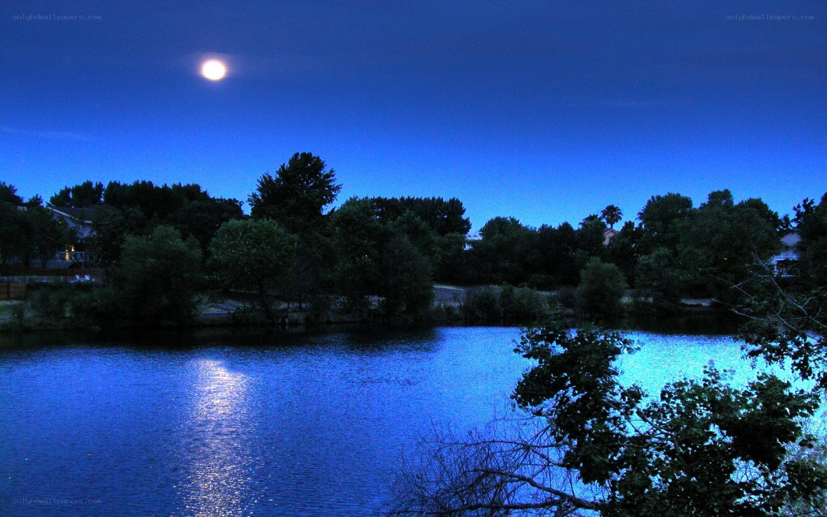 Moonlit lake at night