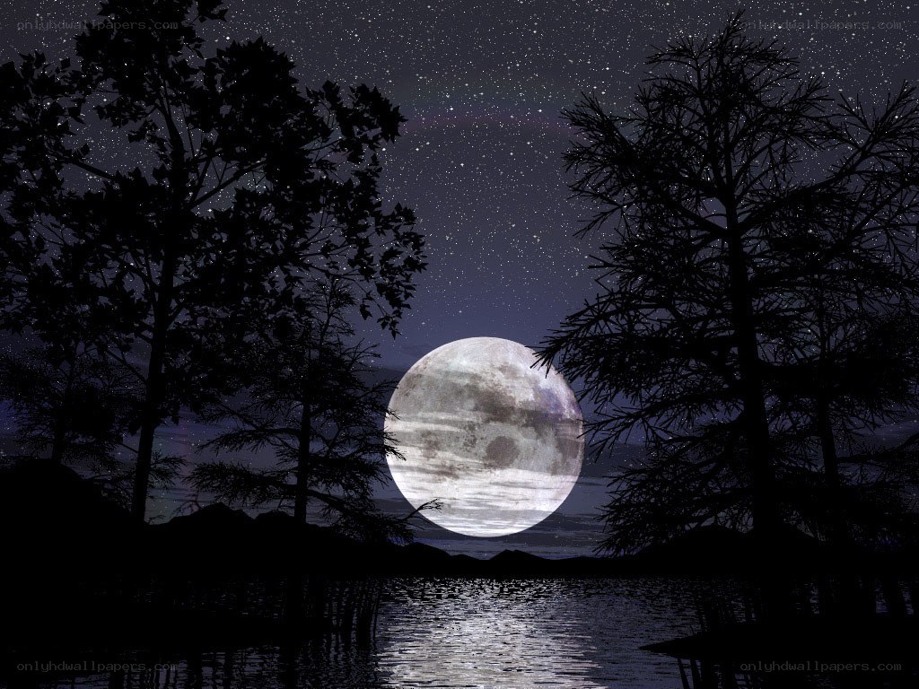 Moonlit lake at night
