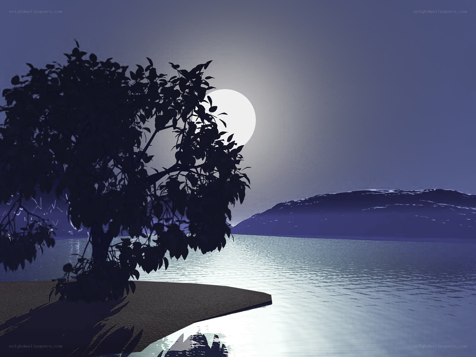 Moonlit lake at night
