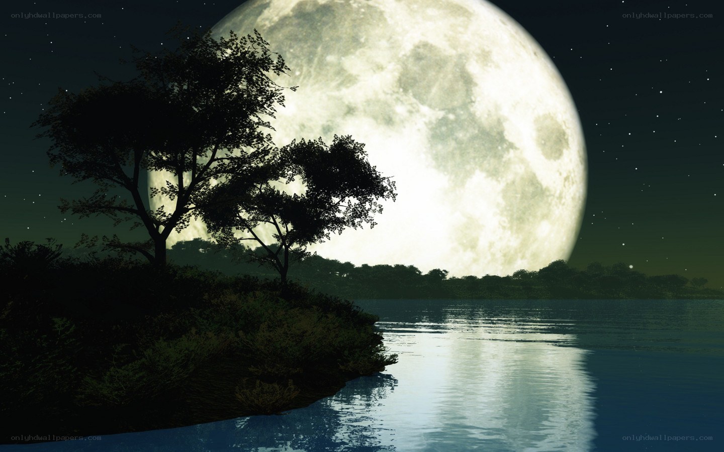 Moonlit lake at night