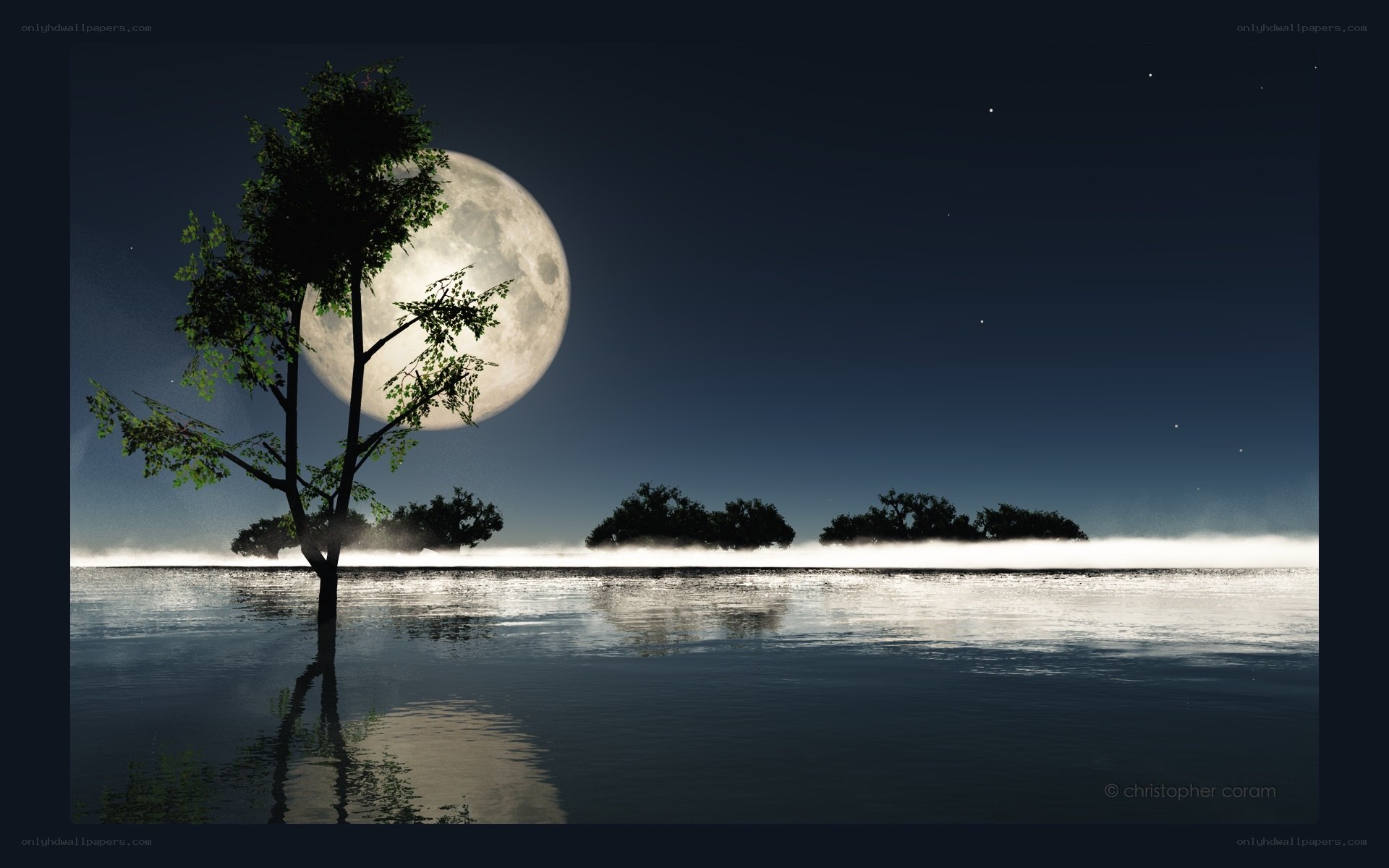 Moonlit lake at night