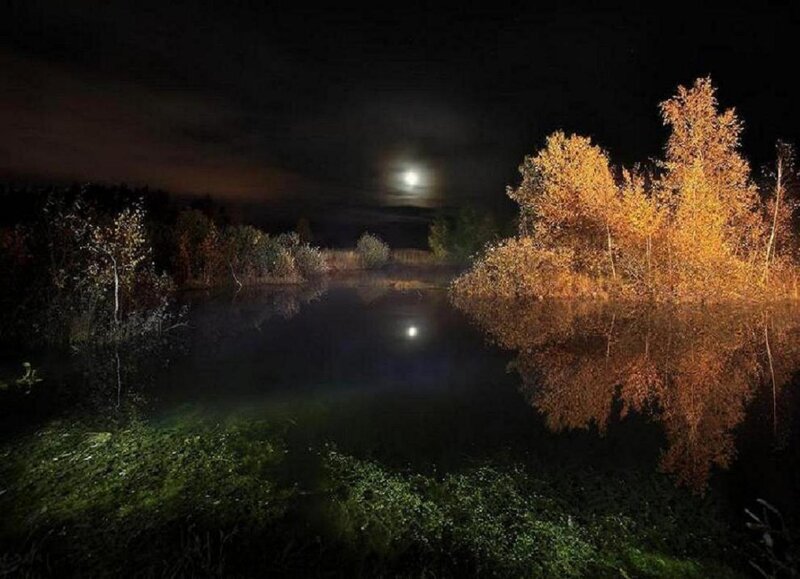 Moonlit lake at night