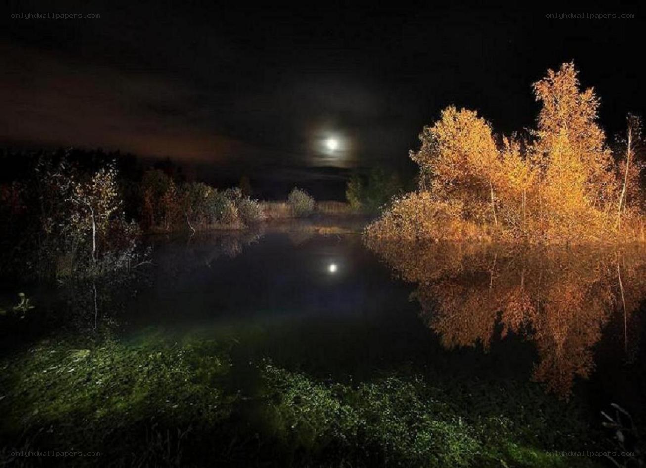 Moonlit lake at night