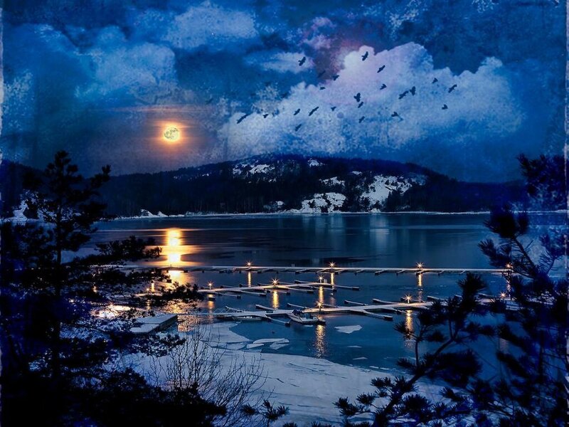 Moonlit lake at night