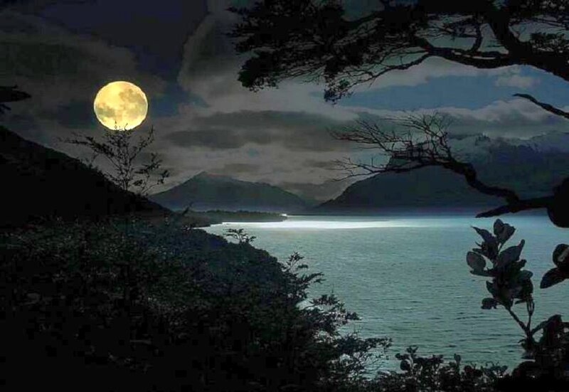 Moonlit lake at night