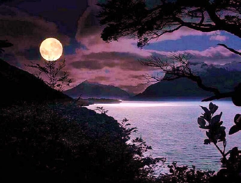 Moonlit lake at night