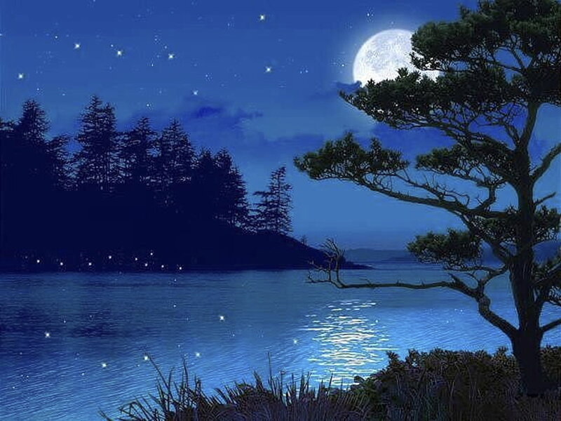 Moonlit Lake at Night — Blue, Serene, Digital Art, Tree