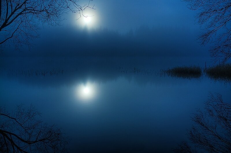 Moonlit Lake at Night — Blue, Serene, Photograph, Trees