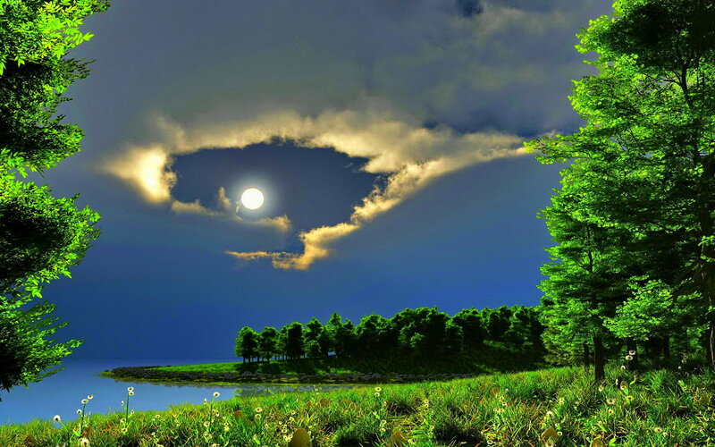 Moonlit Lake Landscape — Green, Serene