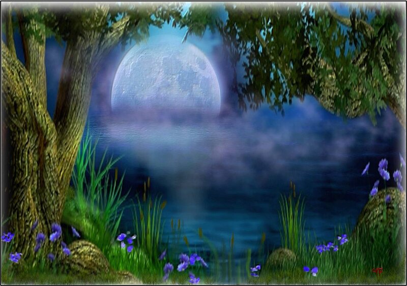 Moonlit Lake Scene