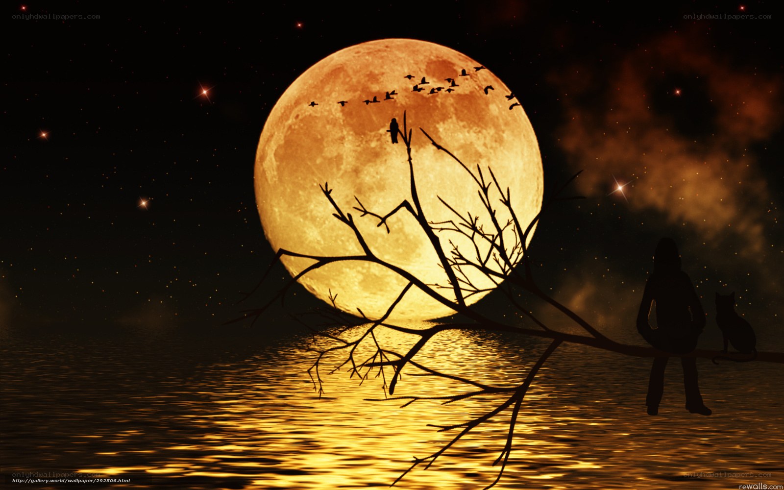 Moonlit lake silhouette