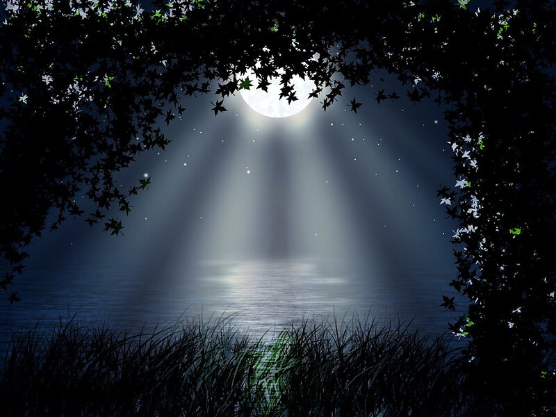 Moonlit Lake under Trees