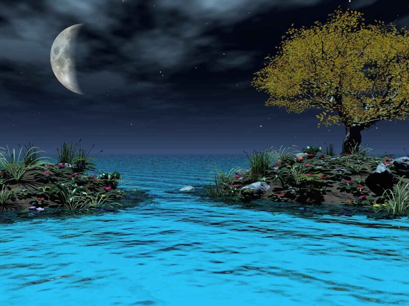 Moonlit lake with autumn tree